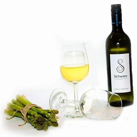 斯外格霍斯博格斯霍夫酒店